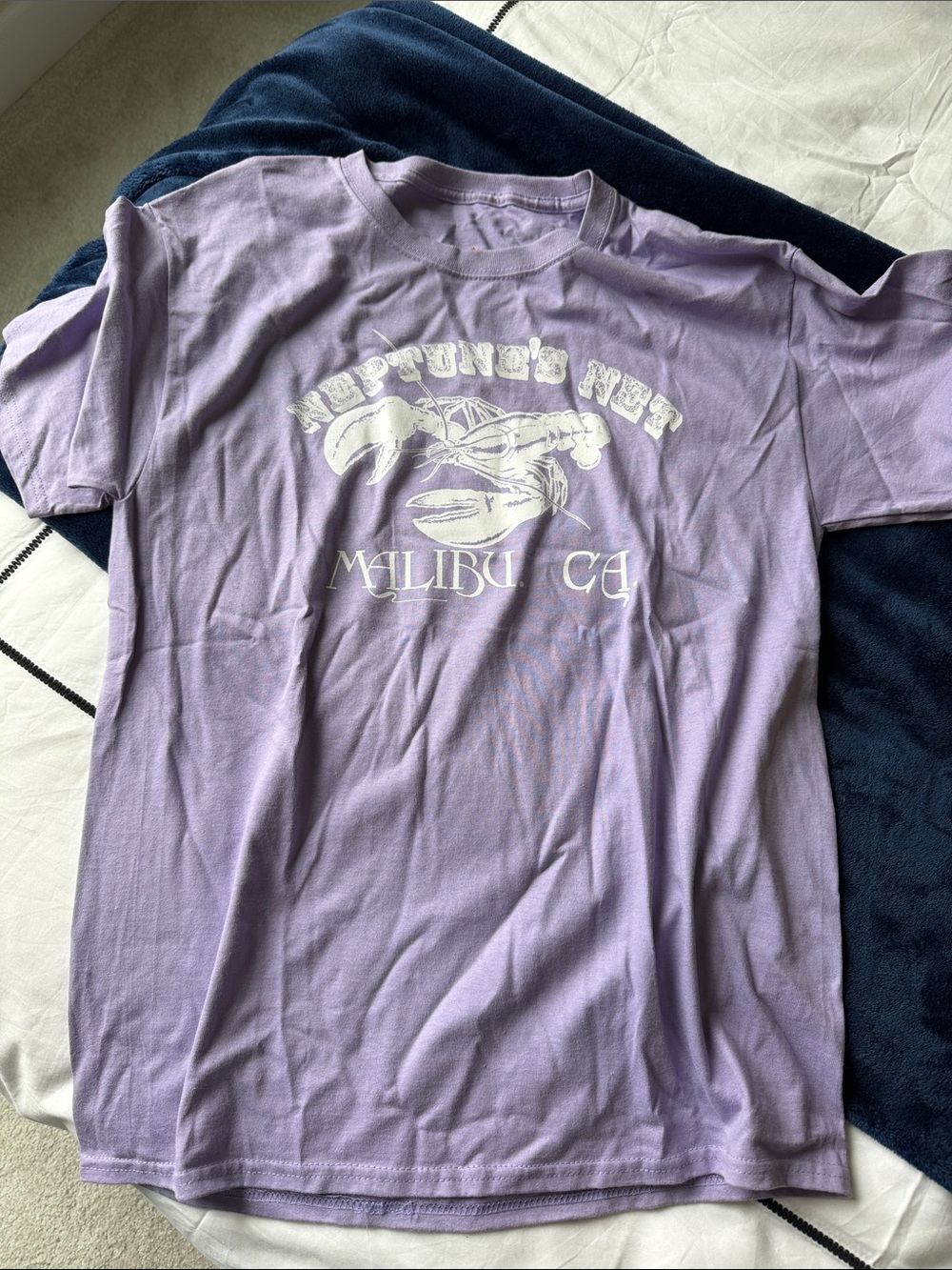 Hanes Lavender Short Sleeve Graphic Tee